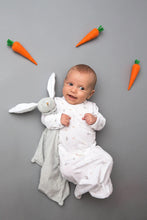 Load image into Gallery viewer, Grey Bunny Lovey